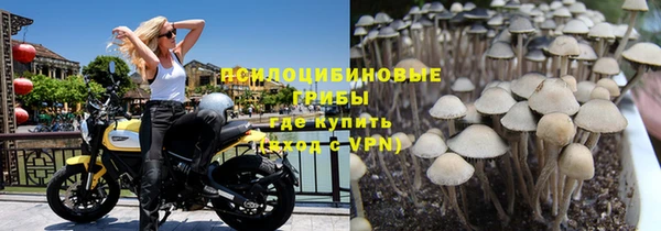 индика Алексеевка