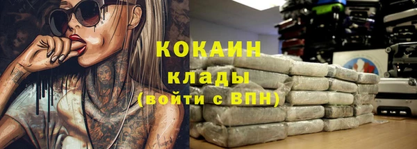 сатива Алексин
