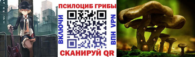 Псилоцибиновые грибы GOLDEN TEACHER купить наркотики цена Ахтырский